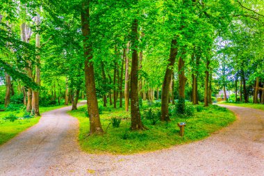 Irelan bahçelerde Malahide'den