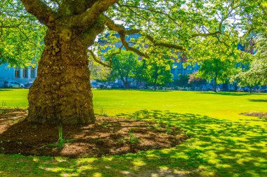 Bir binanın içinde trinity college Kampüsü Dublin, irelan görünümünü