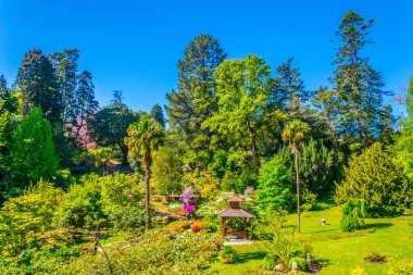 İrelan Powerscourt Estate içinde Japon Bahçesi