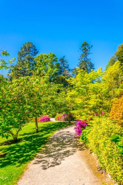 İrelan Powerscourt Estate içinde Japon Bahçesi