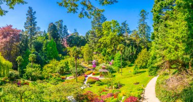 İrelan Powerscourt Estate içinde Japon Bahçesi