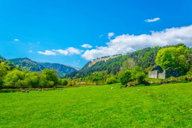 Glendaloug yakın İrlandalı kırsal