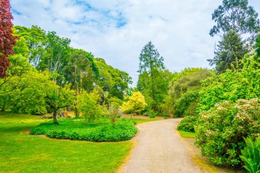 Irelan bahçelerde Malahide'den