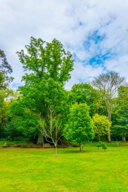 Irelan bahçelerde Malahide'den