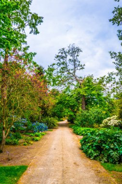 Irelan bahçelerde Malahide'den