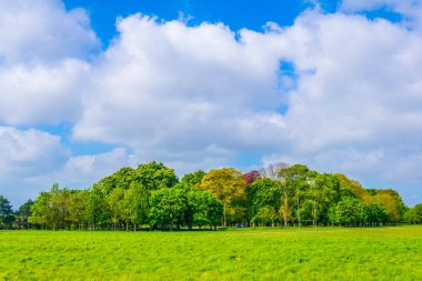 Dublin, Irelan Phoenix park