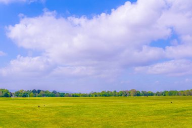 Dublin, Irelan Phoenix park