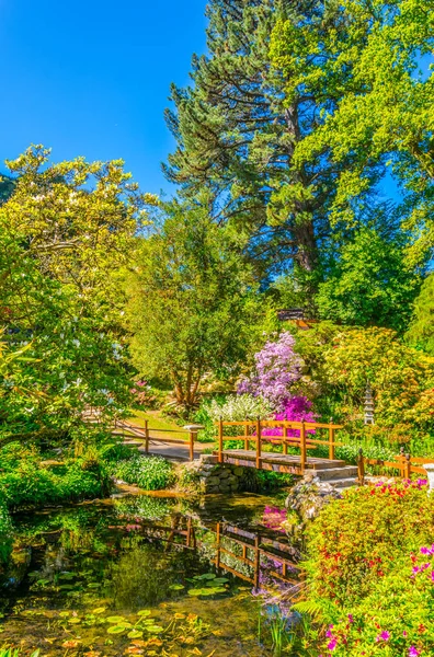 Jardin Japonais Intérieur Domaine Powerscourt Irelan — Photo