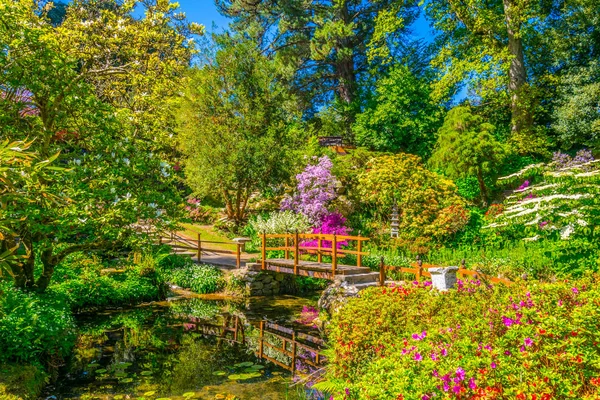 Japansk Trädgård Inne Den Powerscourt Estate Lagarnas — Stockfoto