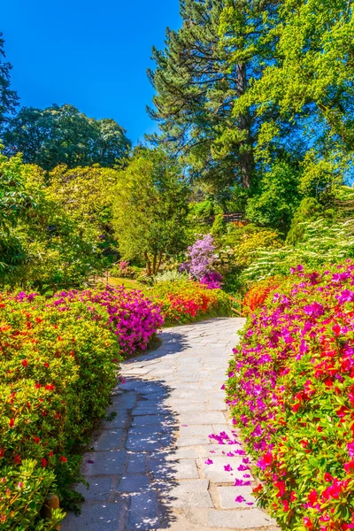 Jardín Japonés Interior Powerscourt Estate Irelan — Foto de Stock