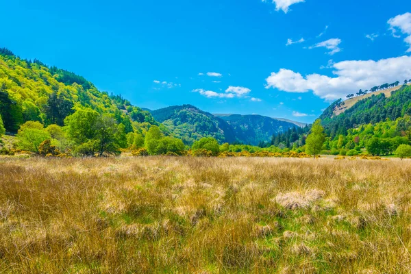 Una Torre Redonda Asentamiento Glendalough Irelan — Foto de Stock