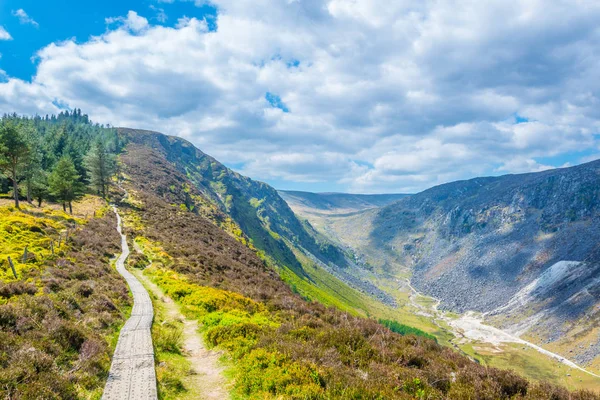 Panoramiczne Ścieżka Uzwojenia Glendalough Irlandii Nowy — Zdjęcie stockowe