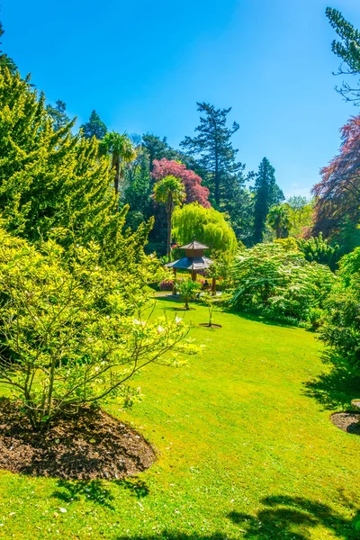 Japansk Trädgård Inne Den Powerscourt Estate Lagarnas — Stockfoto