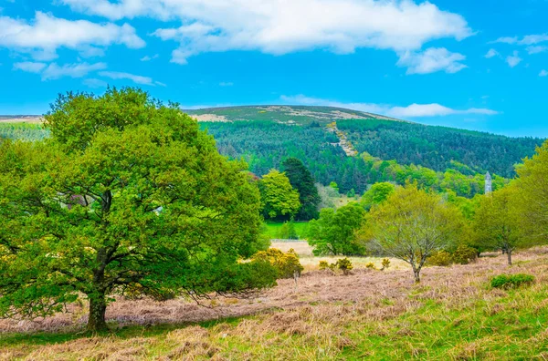 Irische Landschaft Der Nähe Von Glendaloug — Stockfoto