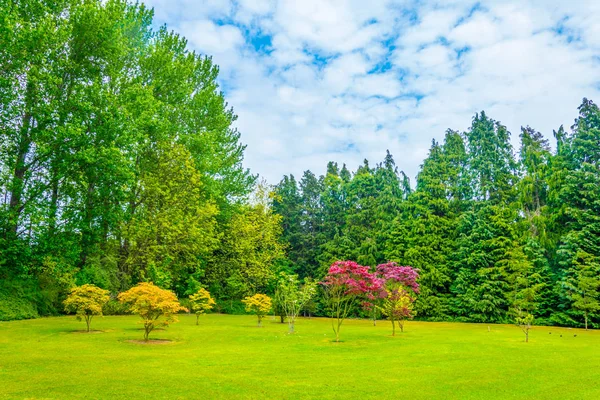 Malahide Trädgårdar Lagarnas — Stockfoto