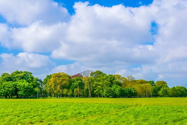 Phoenixparken Dublin Lagarnas — Stockfoto