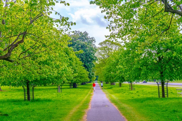 Phoenix Park Dublin Ierse — Stockfoto