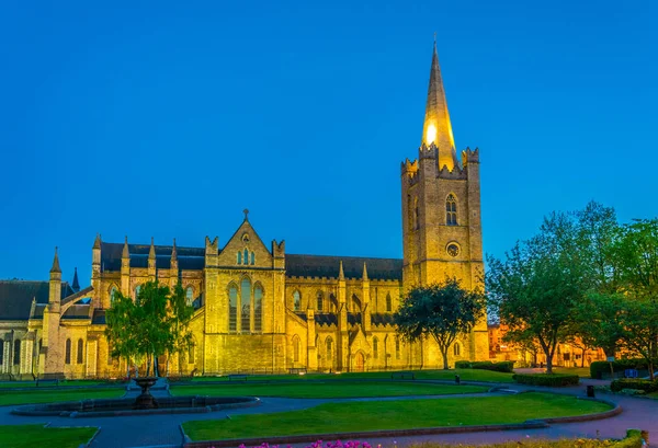 Vista Nocturna Catedral San Patricio Dublín Irlanda — Foto de Stock