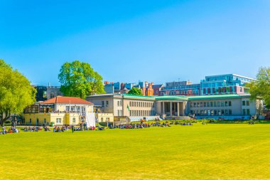Öğrenciler trinity college Dublin, Irelan içinde bir sahada piknik