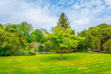 Talbot botanik bahçesi içinde Malahide'den, Irelan