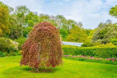 Talbot botanik bahçesi içinde Malahide'den, Irelan