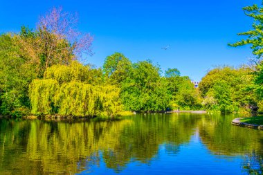 Saint Stephen's Green park Dublin, Irelan küçük bir su birikintisi görünümünü