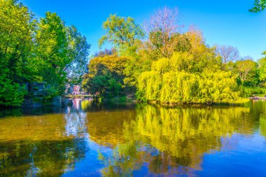 Saint Stephen's Green park Dublin, Irelan küçük bir su birikintisi görünümünü