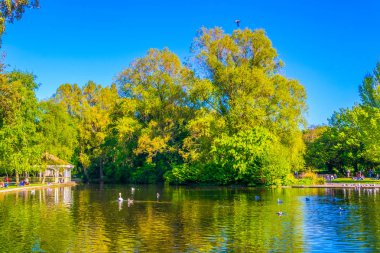 Saint Stephen's Green park Dublin, Irelan küçük bir su birikintisi görünümünü