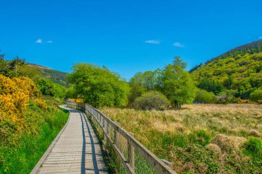 Glendalough, Irelan alt gölde çevreleyen bir turist yolu görünümünü