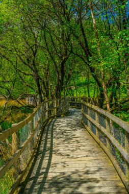Glendalough, Irelan alt gölde çevreleyen bir turist yolu görünümünü