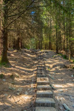 Glendalough, Irelan alt gölde çevreleyen bir turist yolu görünümünü