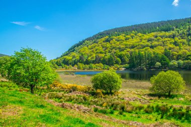 Görünümü alt gölün Glendalough, İrlanda
