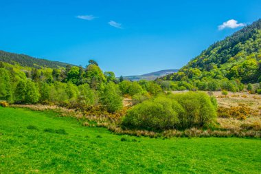 Görünümü alt gölün Glendalough, İrlanda