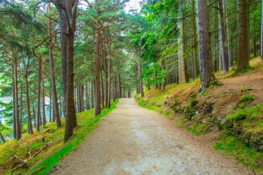 Glendalough, Irelan üst gölde çevreleyen bir turist yolu görünümünü