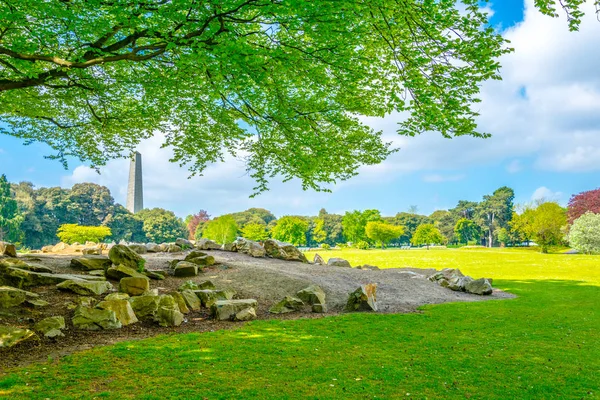 Monument Wellington Dans Parc Phoenix Dublin Irlande — Photo