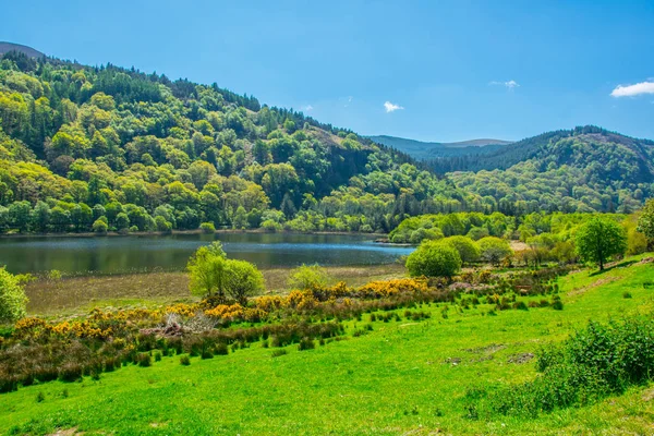 Görünümü Alt Gölün Glendalough Rlanda — Stok fotoğraf