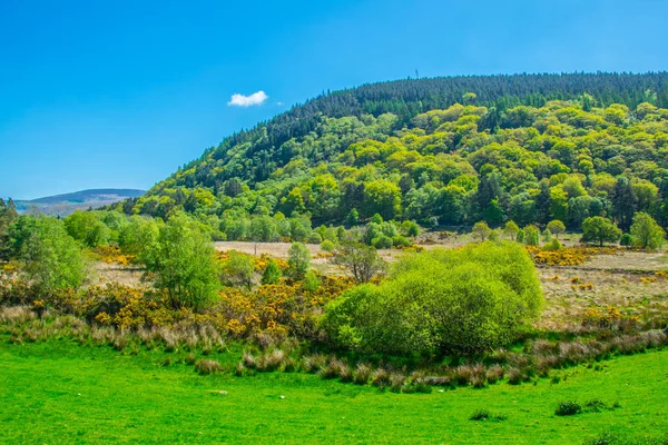 View of the lower lake in Glendalough, Ireland