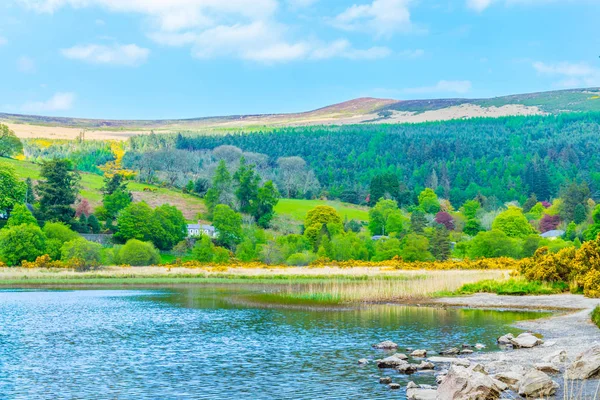 Veduta Del Lago Inferiore Glendalough Irlanda — Foto Stock