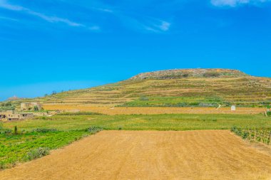 Kırsal Gozo, Malt