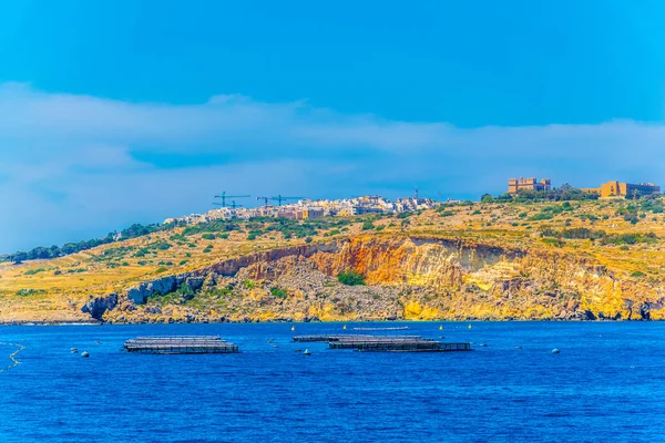 Robust Seacoast Malta Med Röda Tornet Nära Bugibba Malt — Stockfoto