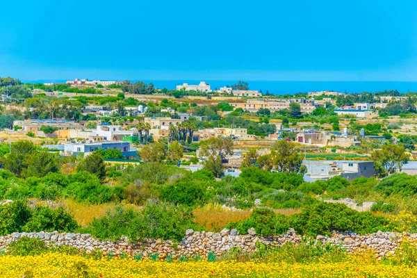 Campo Rural Malta — Fotografia de Stock