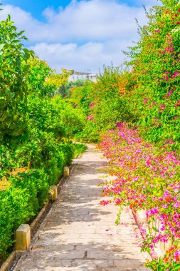 Palazzo Parisio Naxxar, Malt içinde bahçeleri