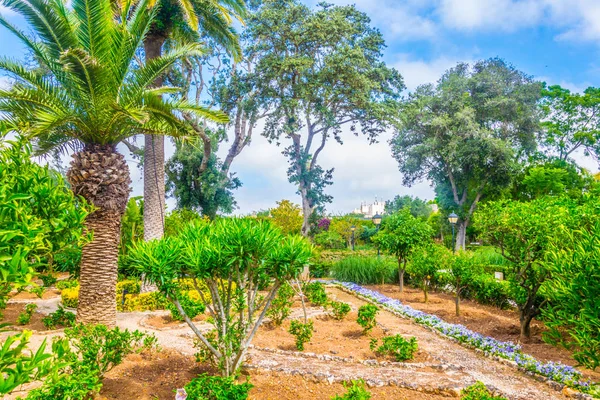 Trädgårdarna Palazzo Parisio Naxxar Malt — Stockfoto