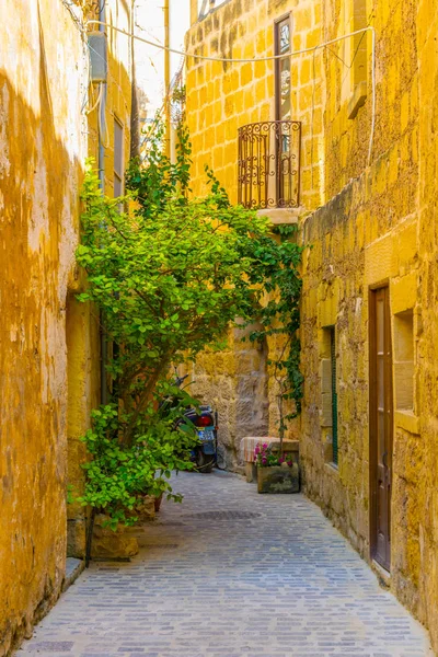 Vista Una Calle Estrecha Victoria Rabat Gozo Malta —  Fotos de Stock