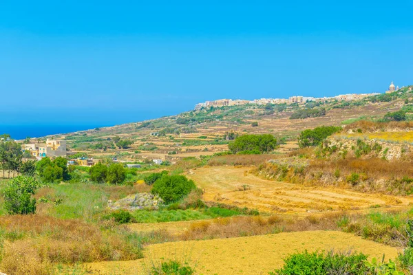 Campagna Gozo Malto — Foto Stock
