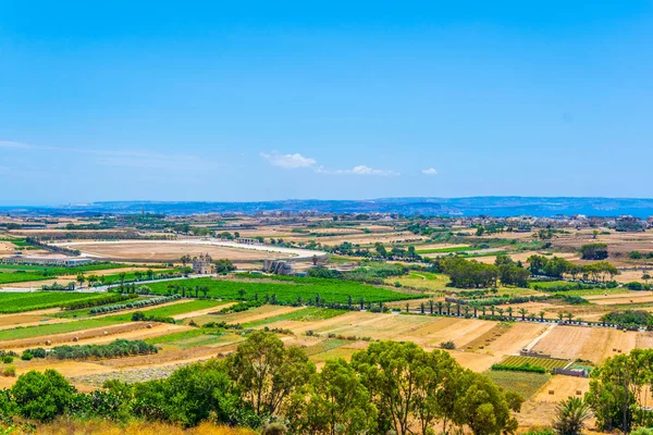 Platteland Gozo Mout — Stockfoto