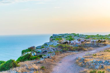 Gozo, Malt Ta Cenc uçurumlar üzerinden günbatımı görünüm