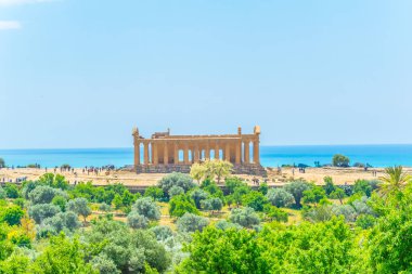 Concordia tapınak tapınak Sicilya, Ital bölgesindeki Agrigento yakınlarında vadisinde görünümünü