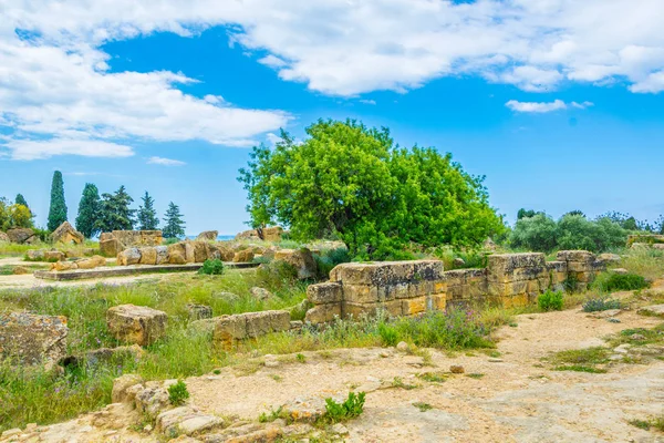 伊塔尔阿格里根托附近的寺庙谷宙斯神庙遗址景观 — 图库照片