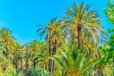 Avuç içi park villa bonanno Palermo, Sicilya, Ital içinde görünümünü